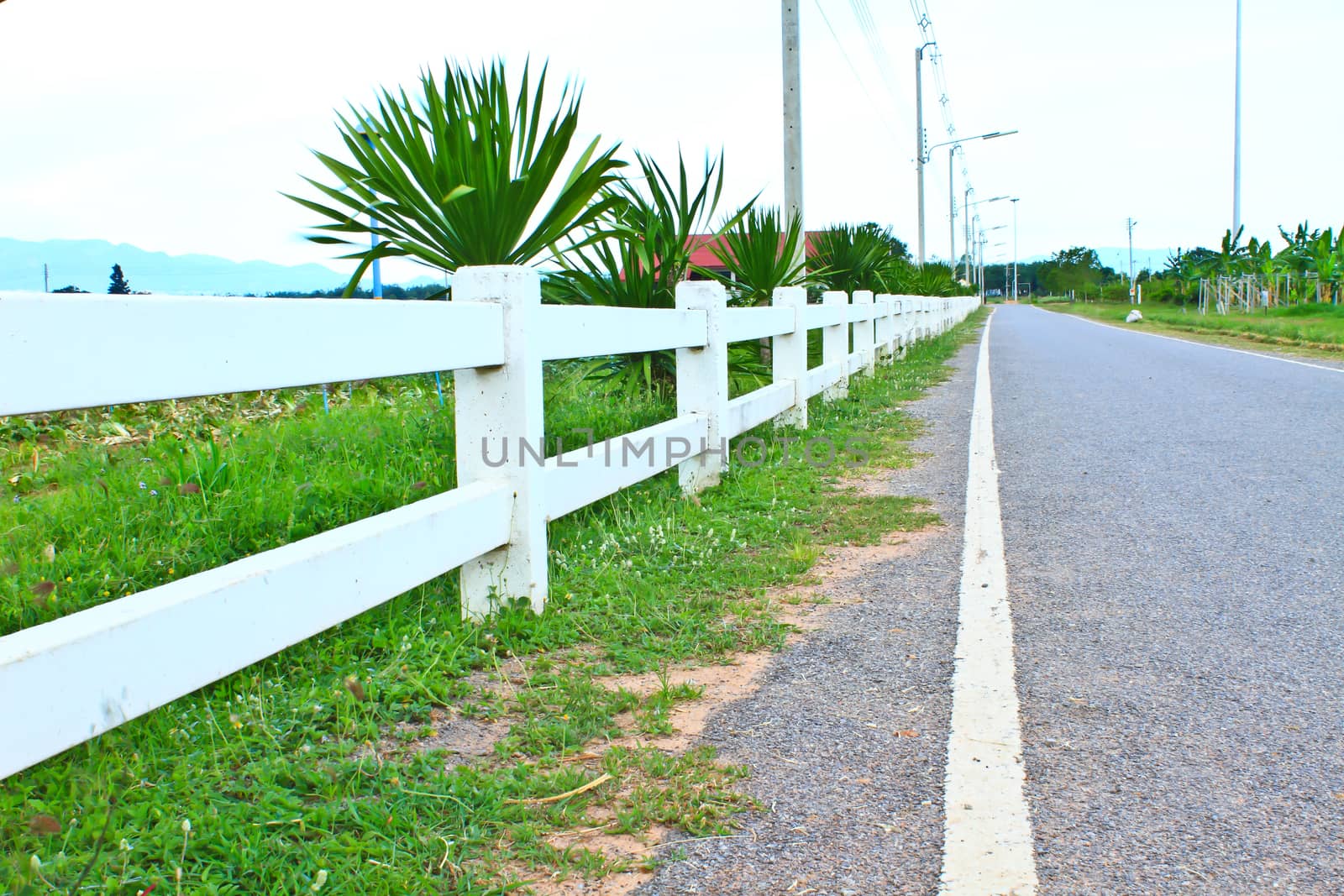 Long  private, country road along a white picket fence