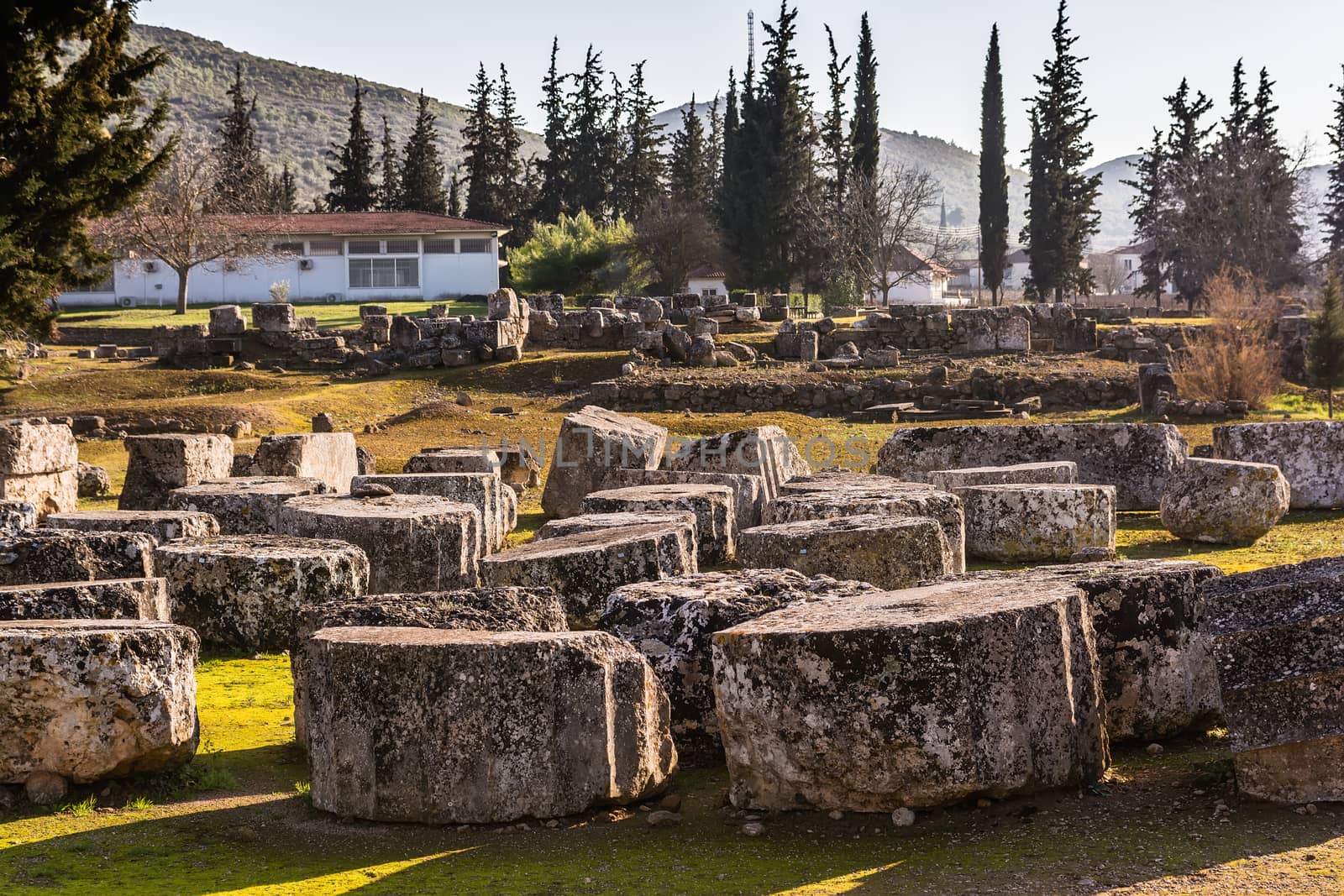 Nemea Archaeological Site, Greece by ankarb