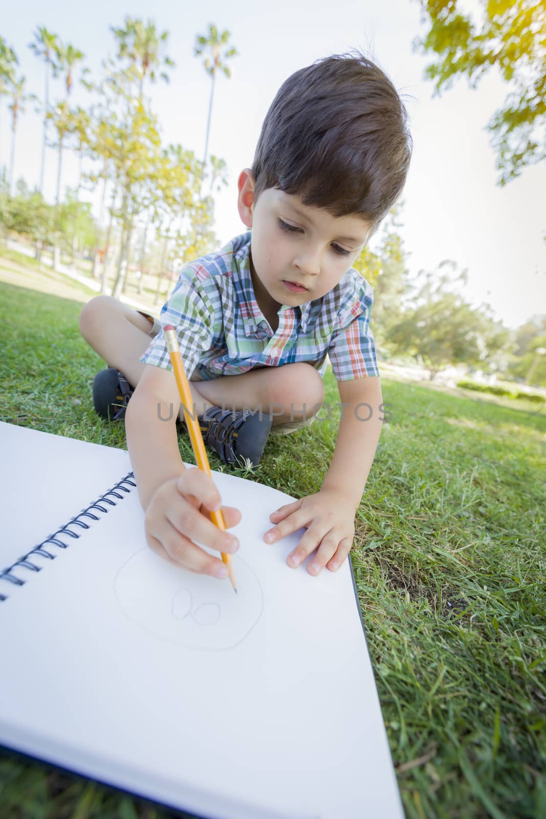 Cute Young Artistic Boy Drawing with Pencil and Paper Outdoors on the Grass