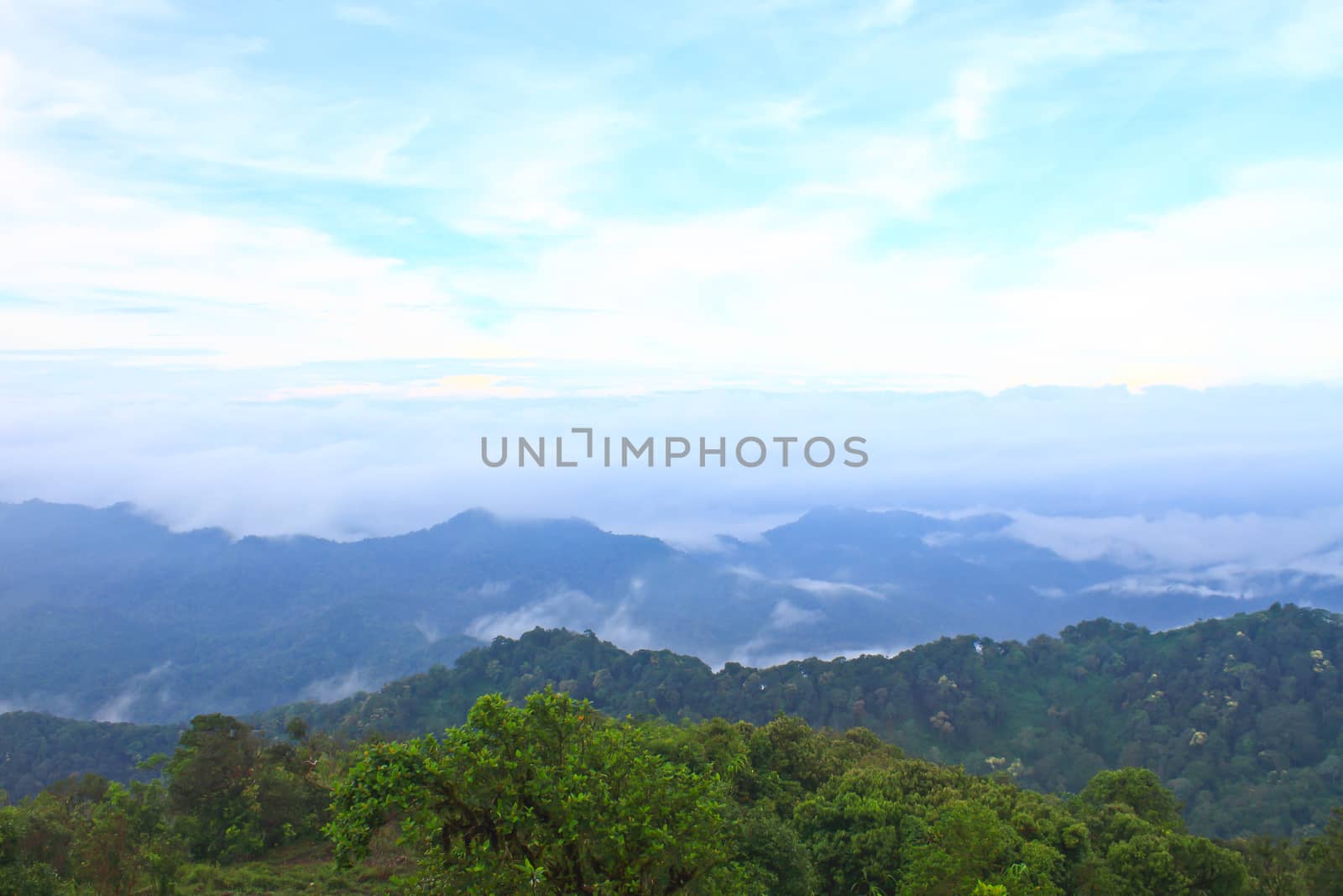 Sea of fog with forests as foreground. This place is in the Kaeng Krachan national park, Thailand