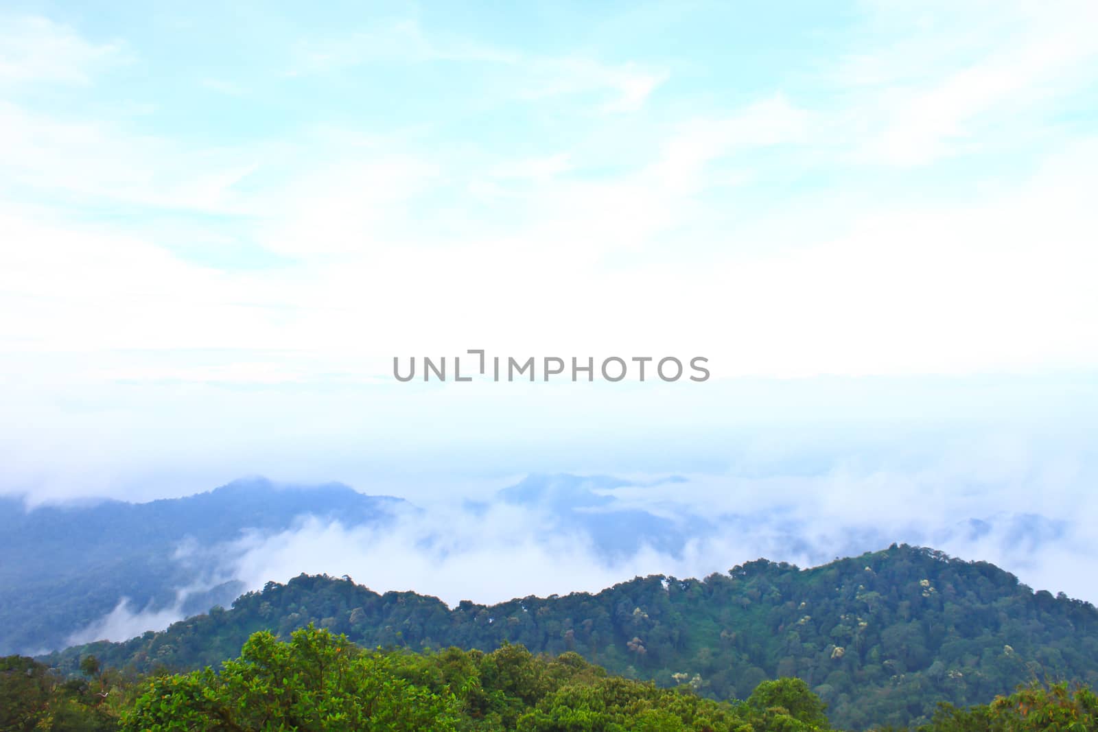 Sea of fog with forests as foreground. This place is in the Kaeng Krachan national park, Thailand