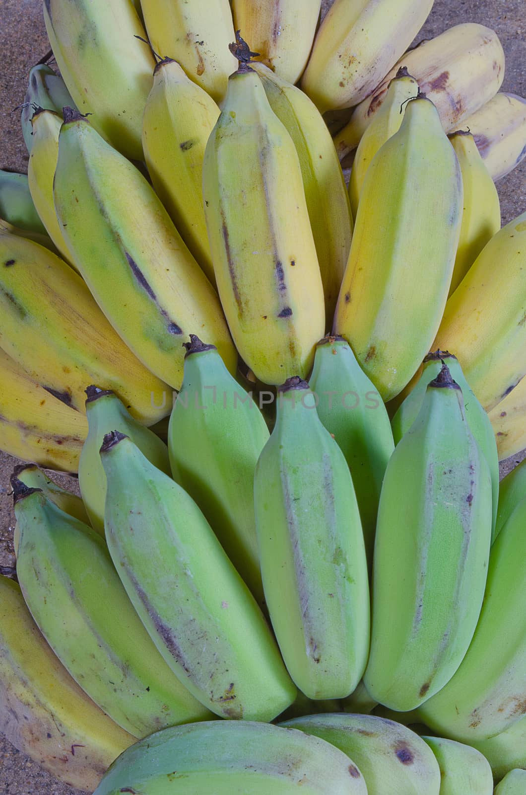 Ripe Banana by kobfujar