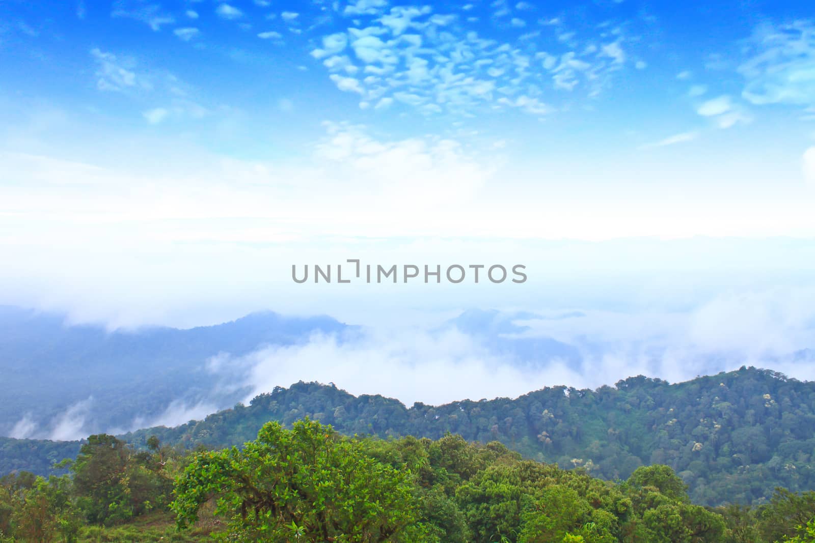 Sea of fog with forests as foreground. This place is in the Kaeng Krachan national park, Thailand