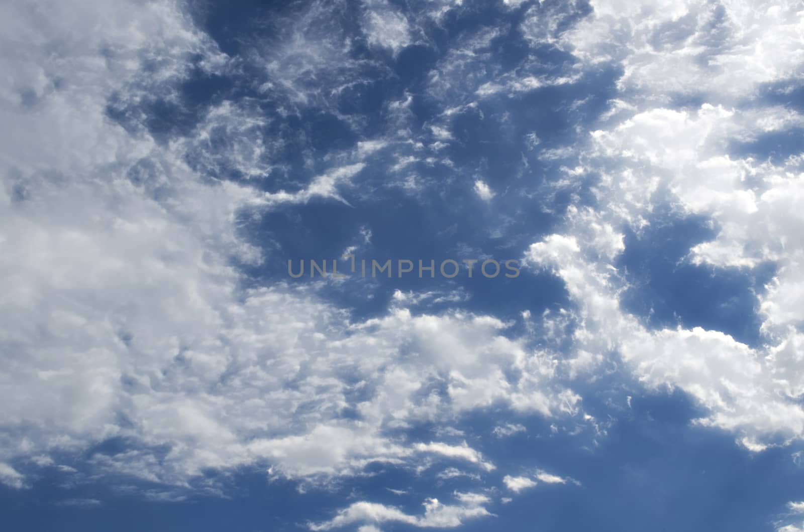 The Fluffy Cloudy Blue Sky Scape 151