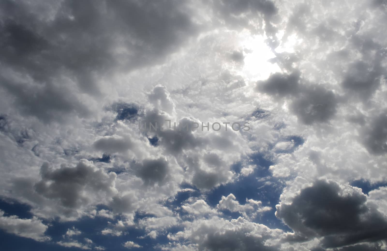 The Fluffy Cloudy Blue Sky Scape 131