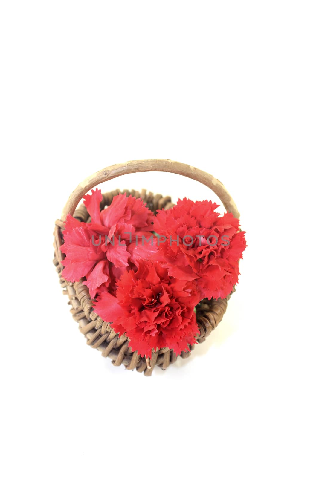 red carnations blossoms in a basket on light background