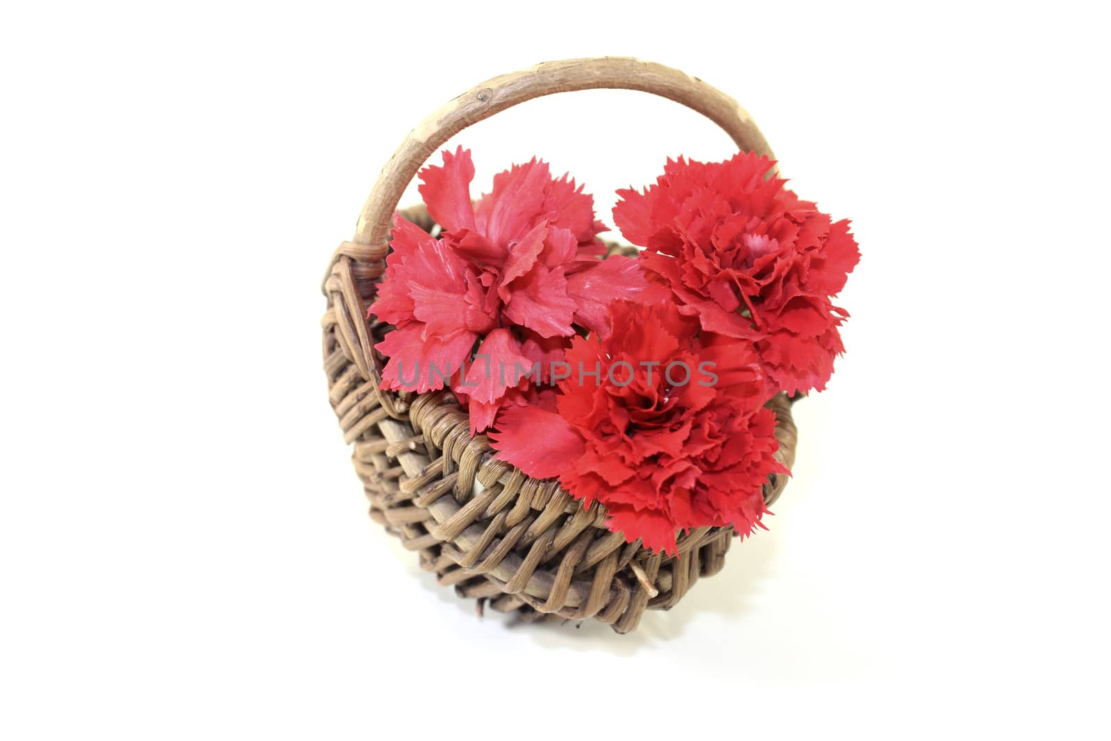 fresh red carnations blossoms in a basket by discovery