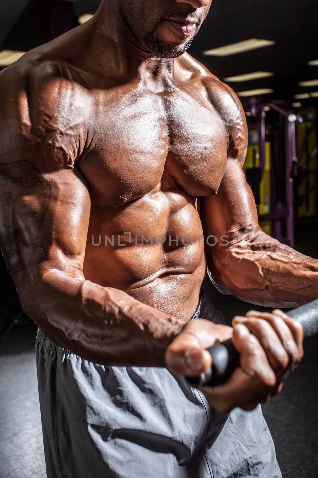 Muscular body builder working out  at the gym.