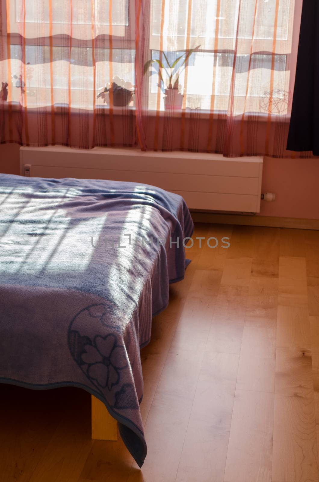 sun shade is reflected through the curtains on the bed bedspreads