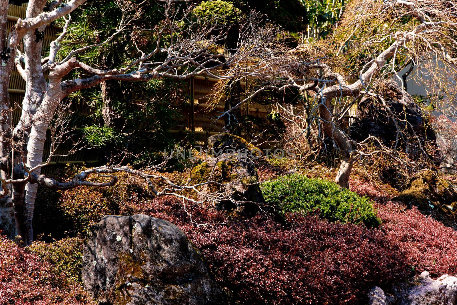 Japanese garden background