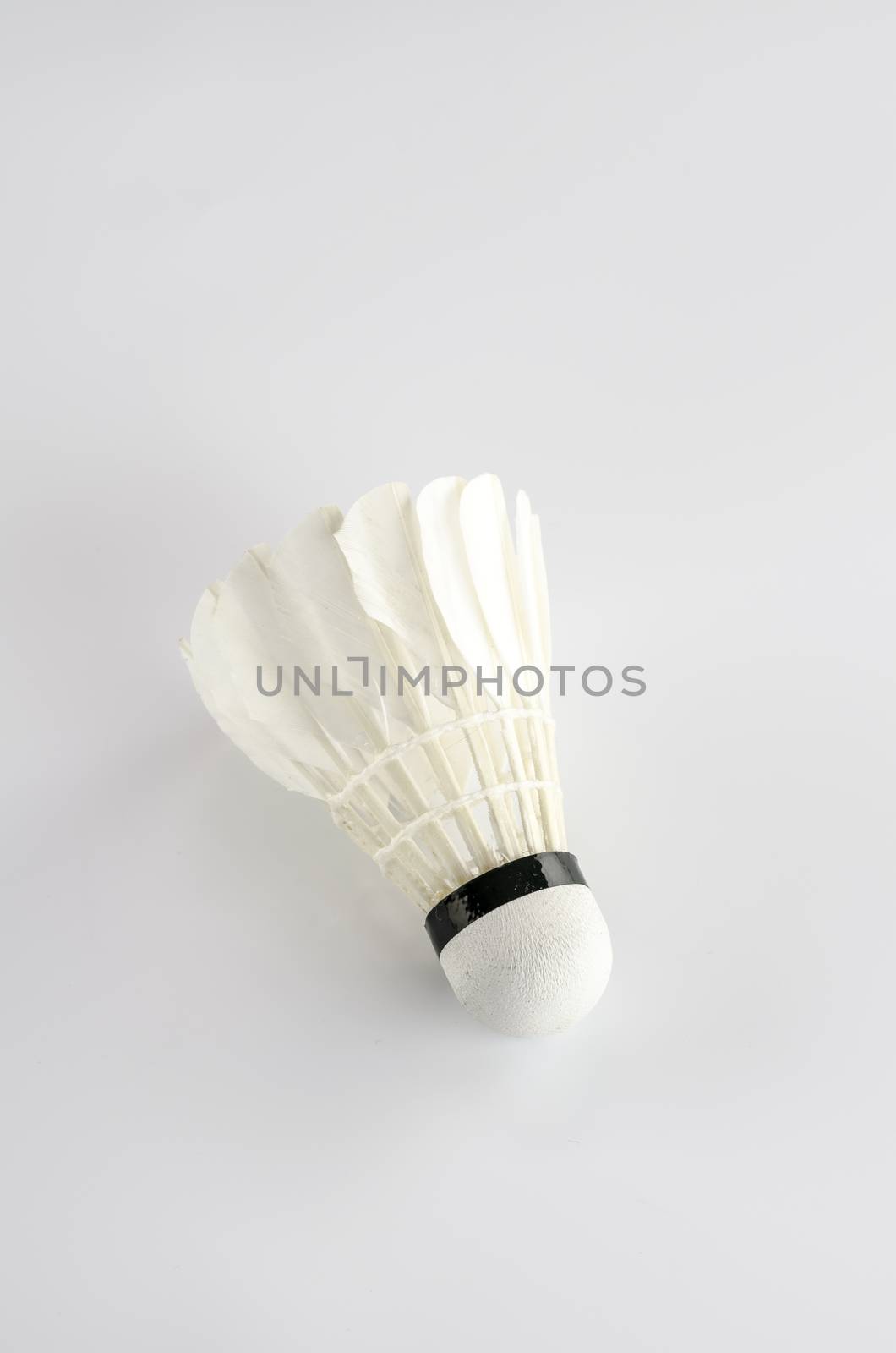 shutter cock on a white background