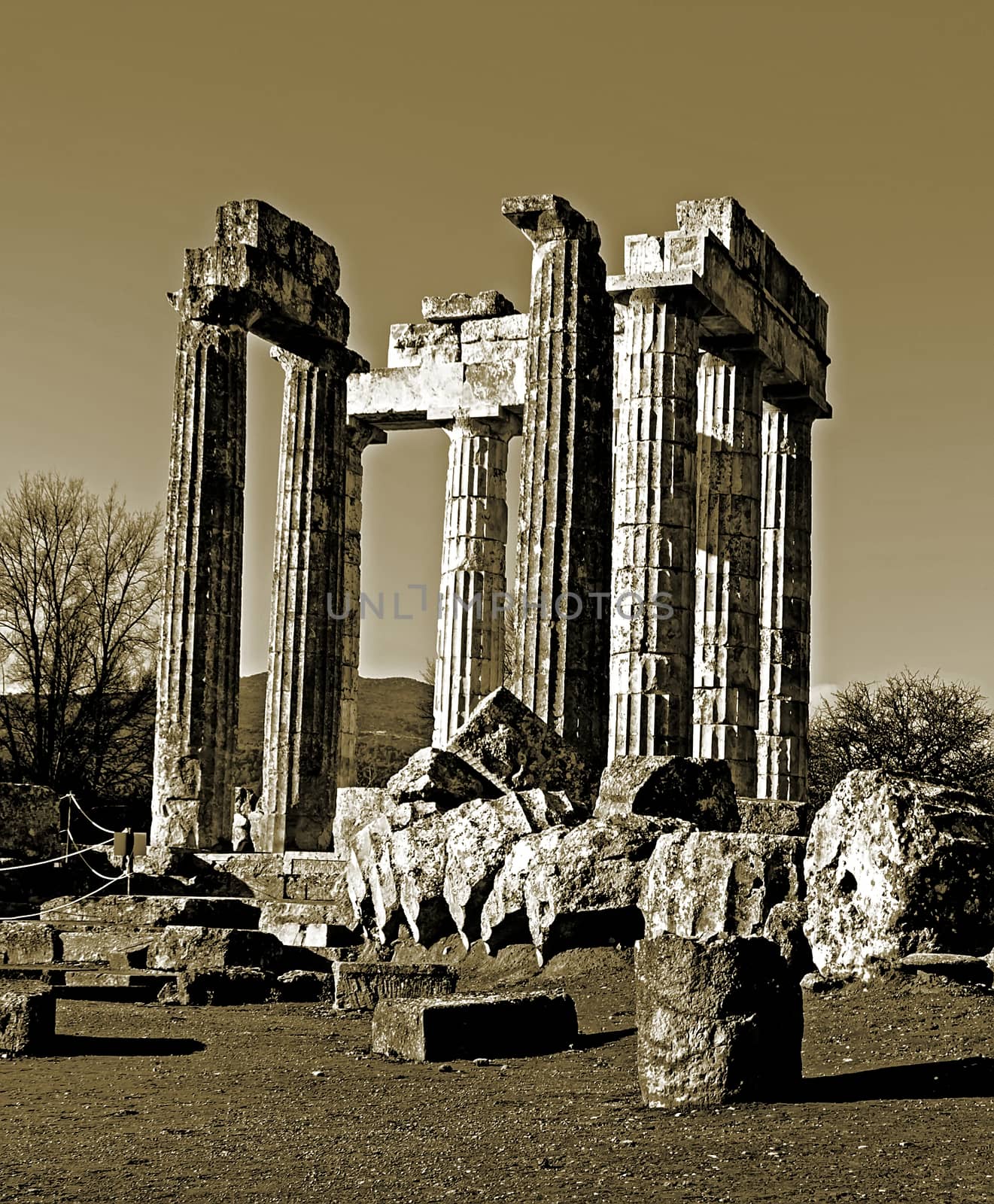 Black and white Pillars of the temple of Zeus in the ancient Nemea, Greece