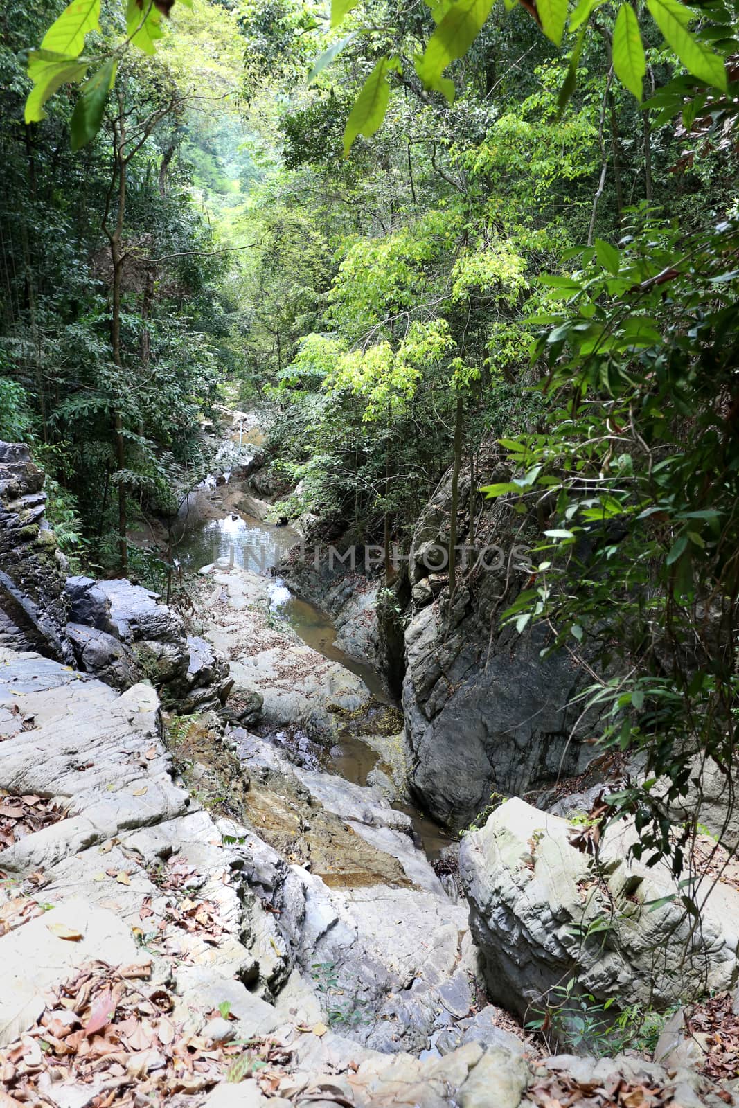 beautiful waterfall