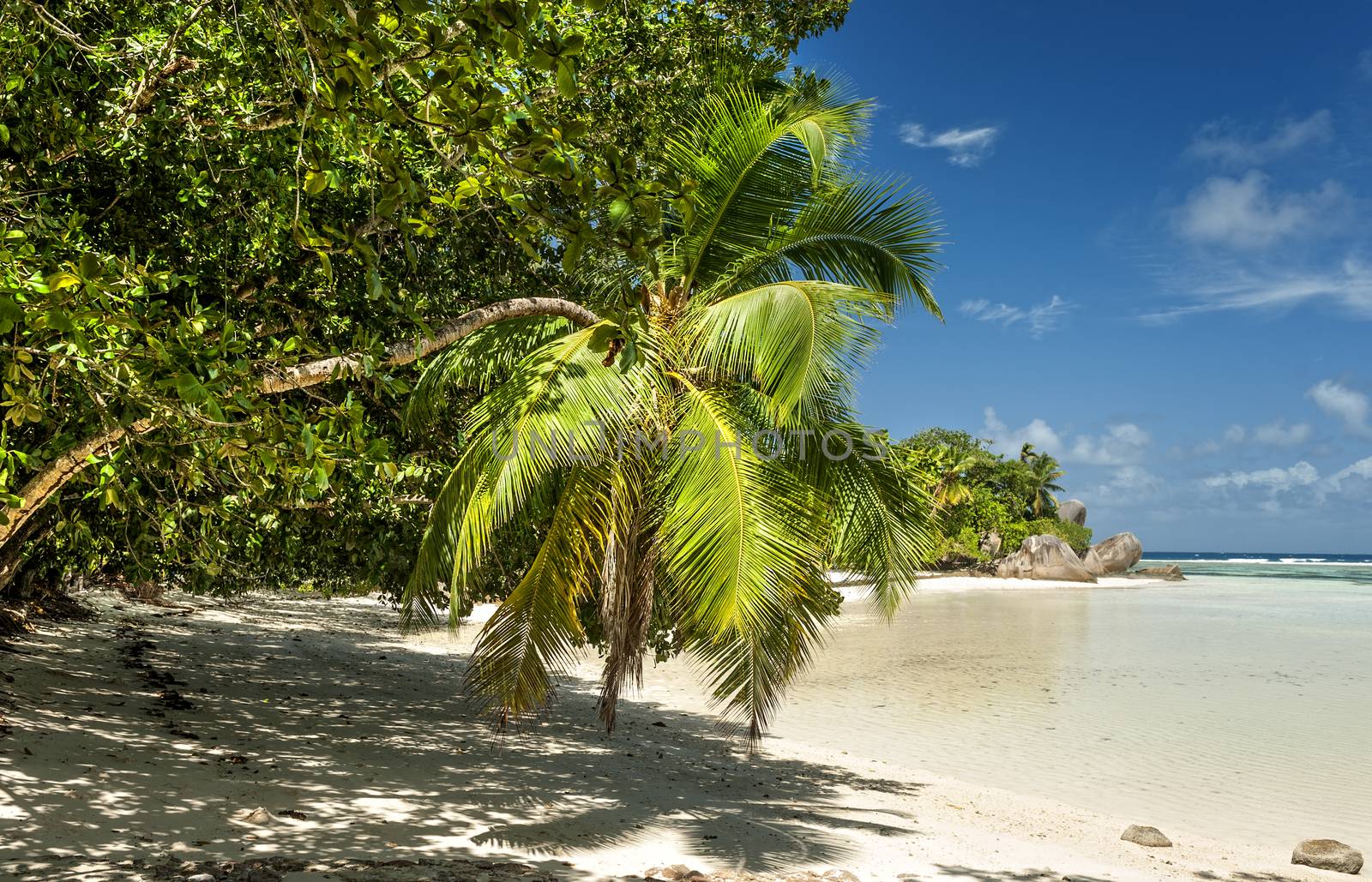 Anse Union beach located in  plantation  L’Union Estate in the west of La Digue island,  Seychelles