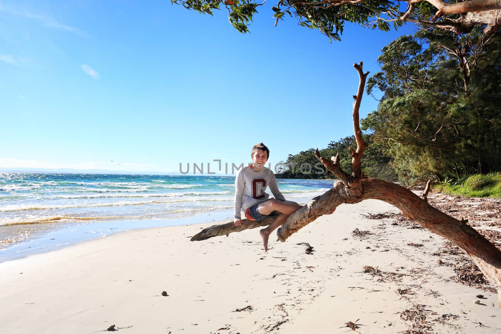 Teen boy sitting on a gum tree outstretched branch enjoying a vacation on a glorious day at the beach in NSW Australia
