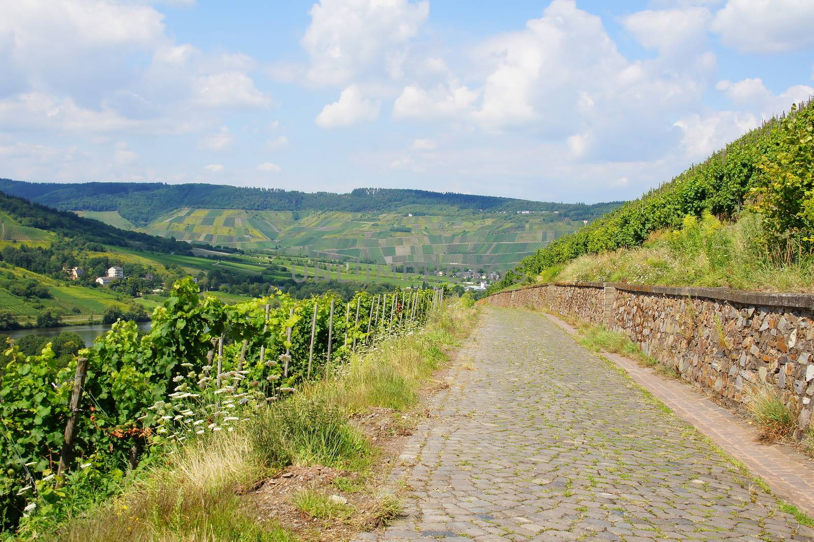 Paving the way from Traben-Trarbach to Wolf