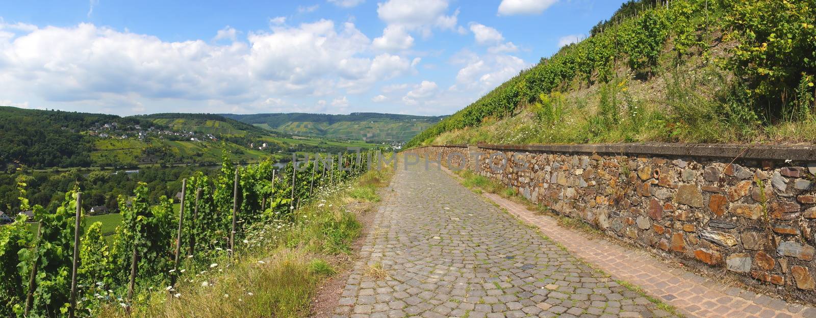 Paving the way from Traben-Trarbach to Wolf panorama