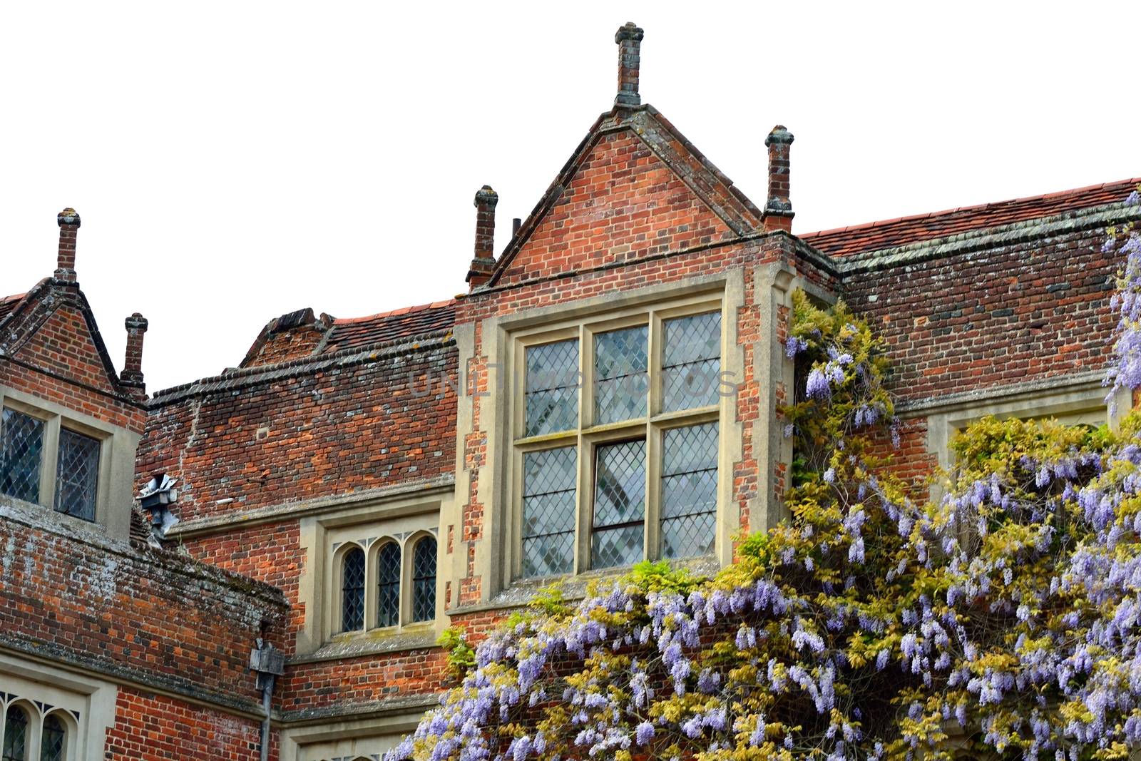 large Tudor Building with wisteria by pauws99