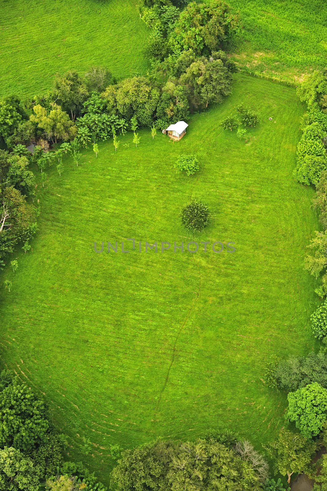 Alone house aerial view