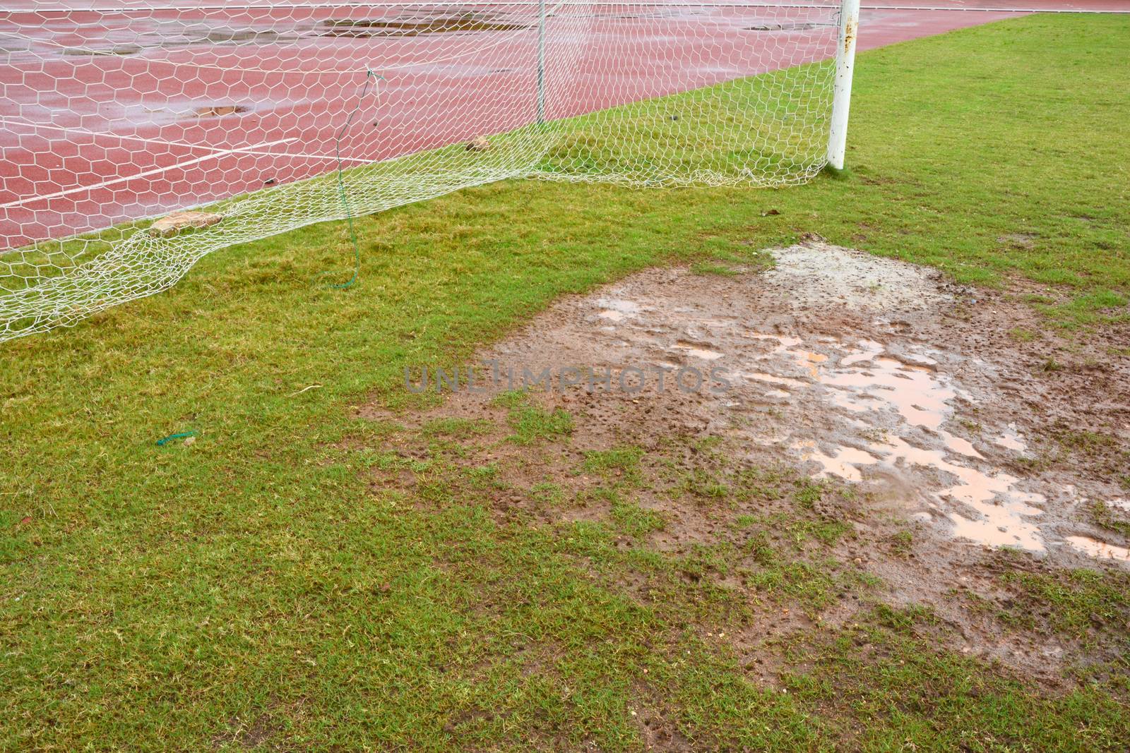 Wet football field by think4photop