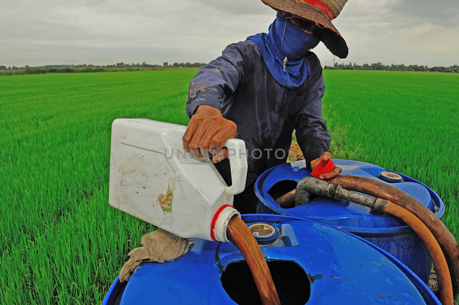 farmer mixing pesticide on the rice field by think4photop