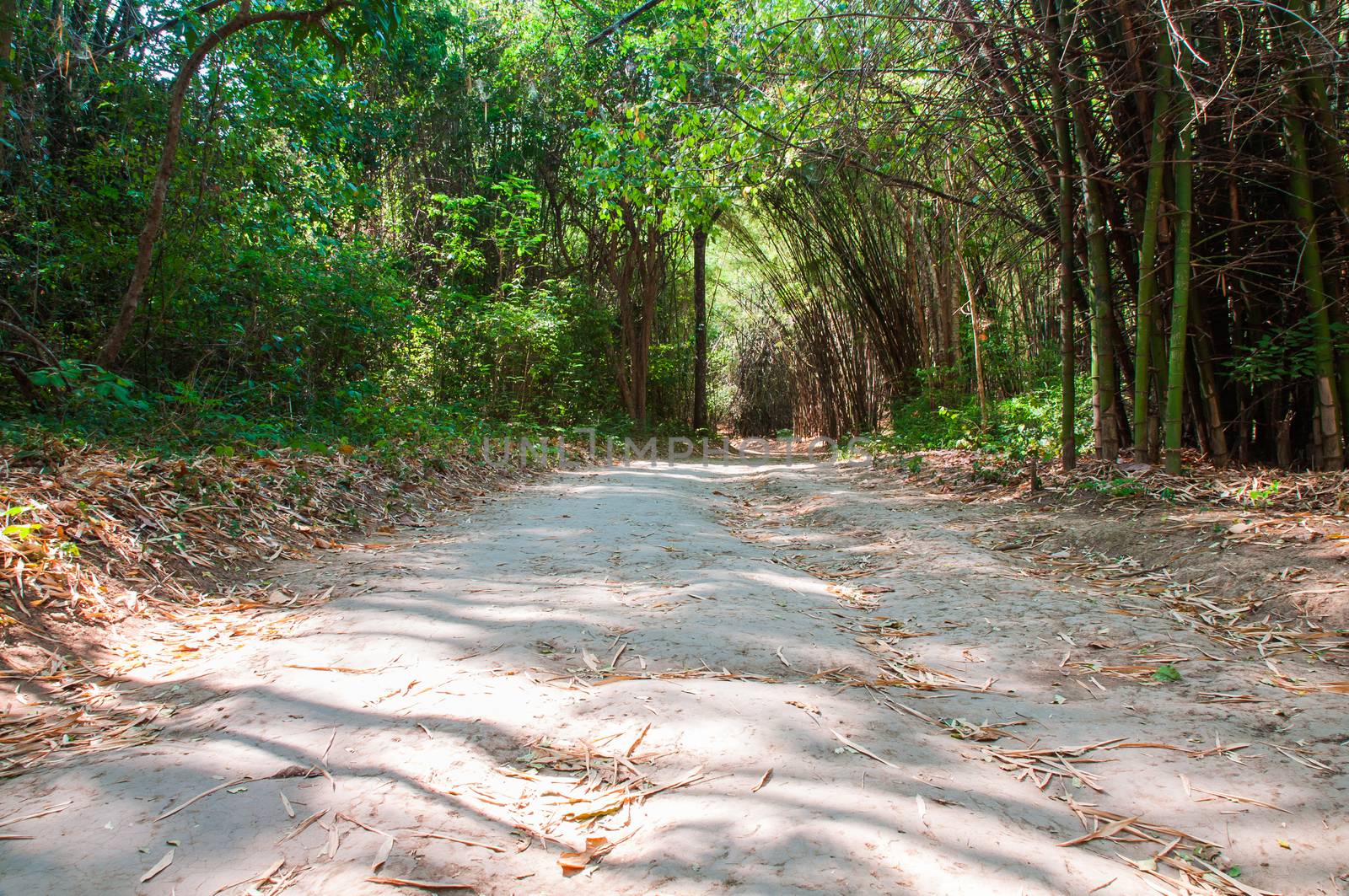 Route Walk Forest or Hiking trails by Sorapop