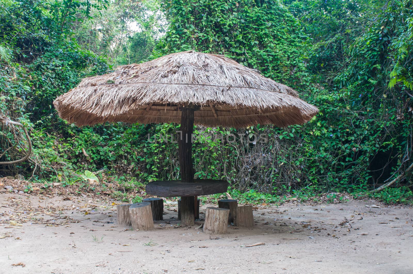 Gazebo throng straw grass by Sorapop