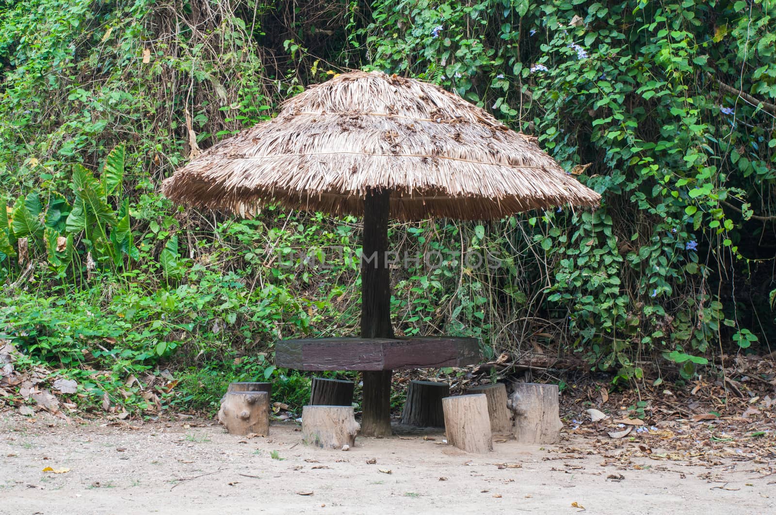 Gazebo throng straw grass by Sorapop