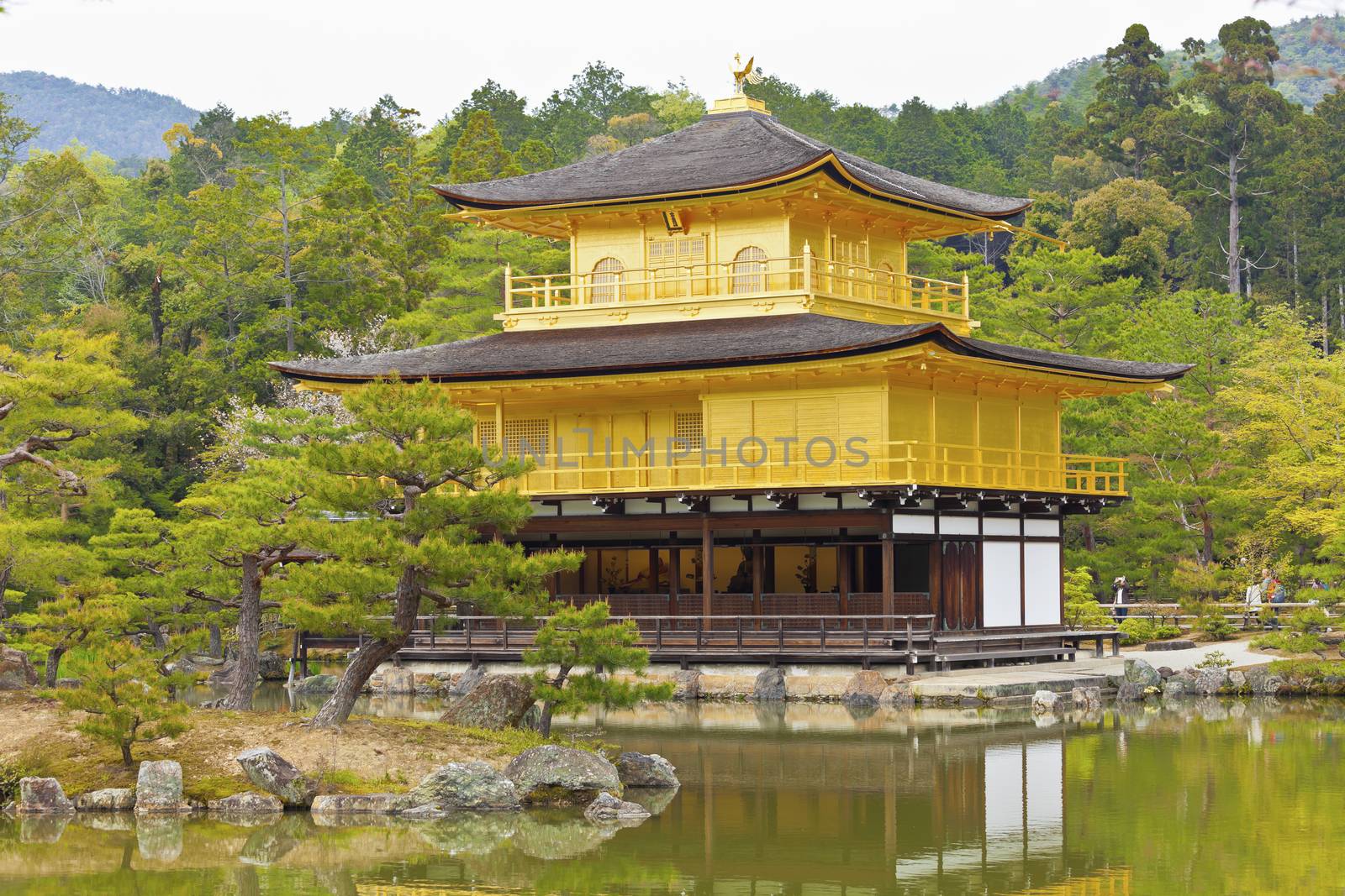 Kinkakuji Temple (The Golden Pavilion) in Kyoto, Japan.