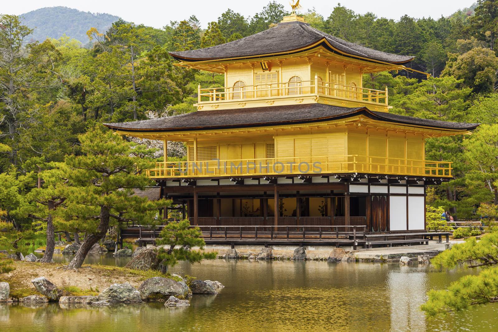 Kinkakuji Temple (The Golden Pavilion) in Kyoto, Japan.