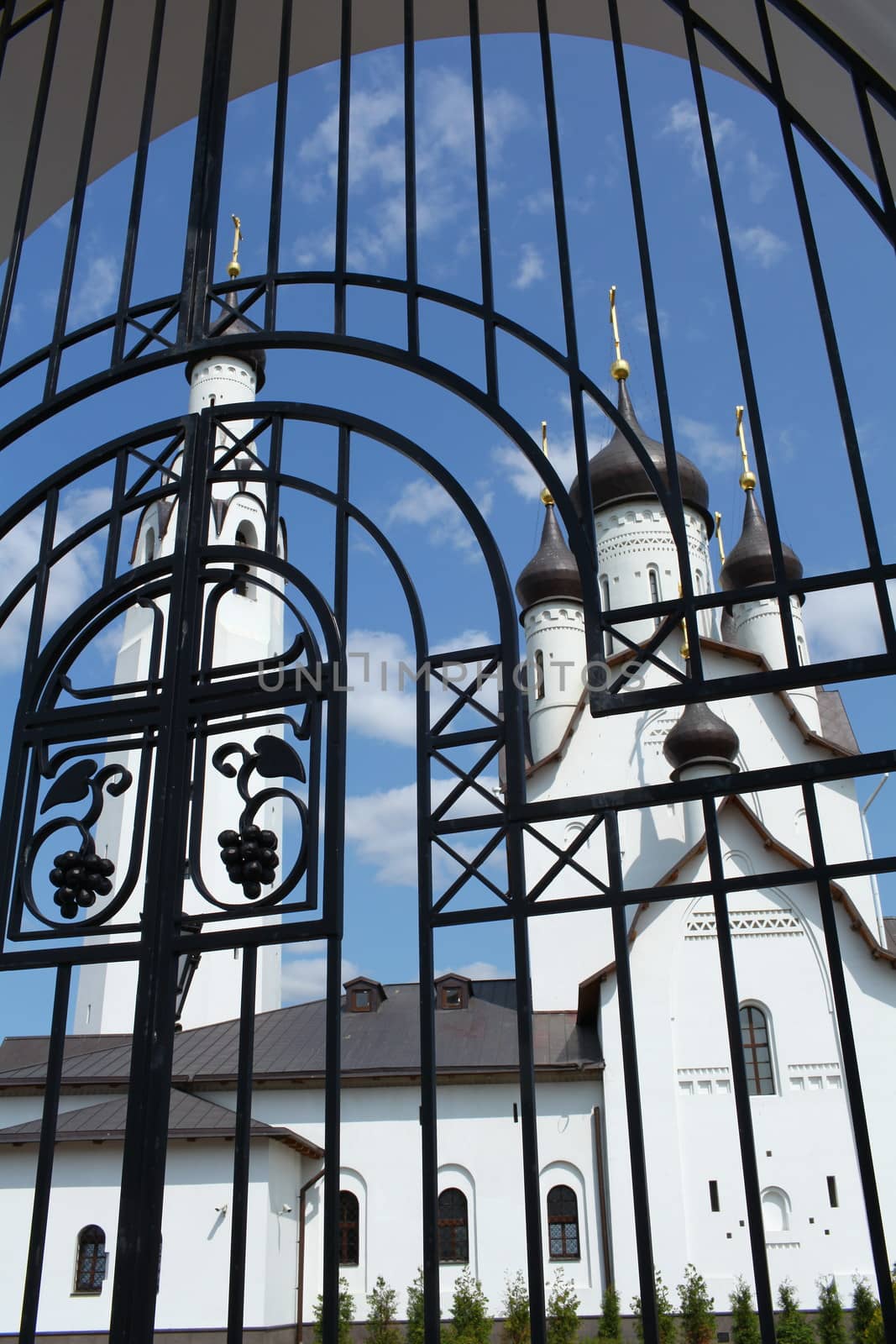 Wrought Iron Fence Church of St. Peter in St. Petersburg