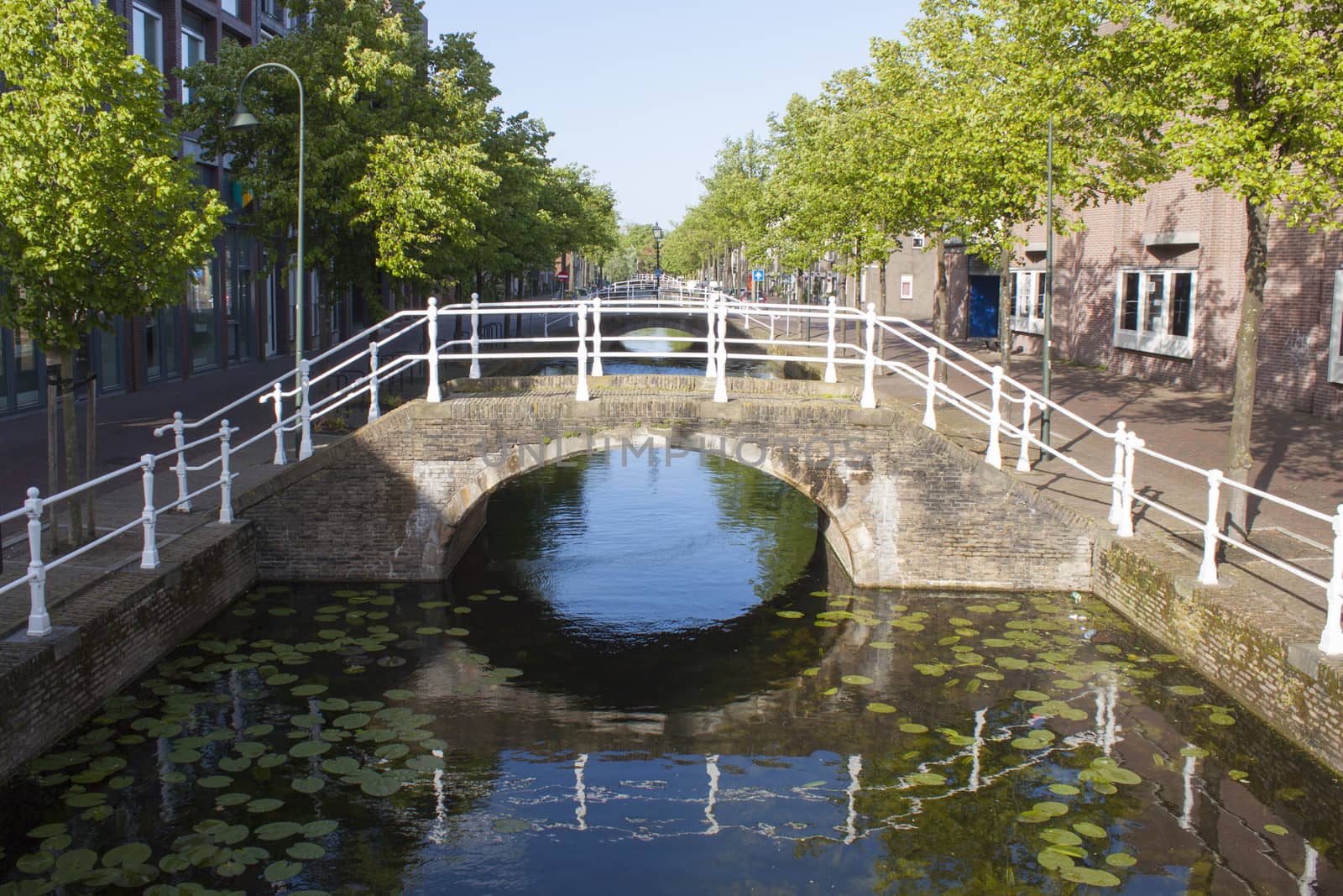 bridge over canal with reflection and trees