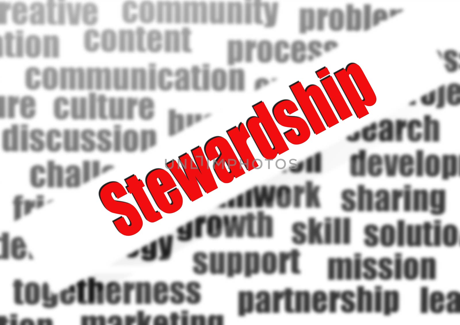 Stewardship word cloud