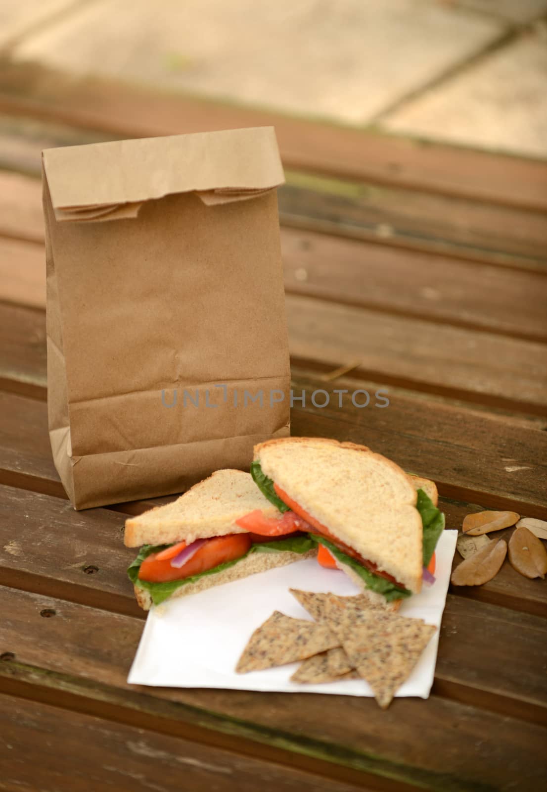 brown bag vegetarian lunch