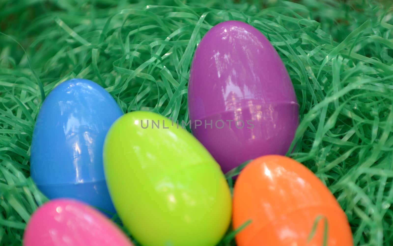 colorful easter eggs in green grass