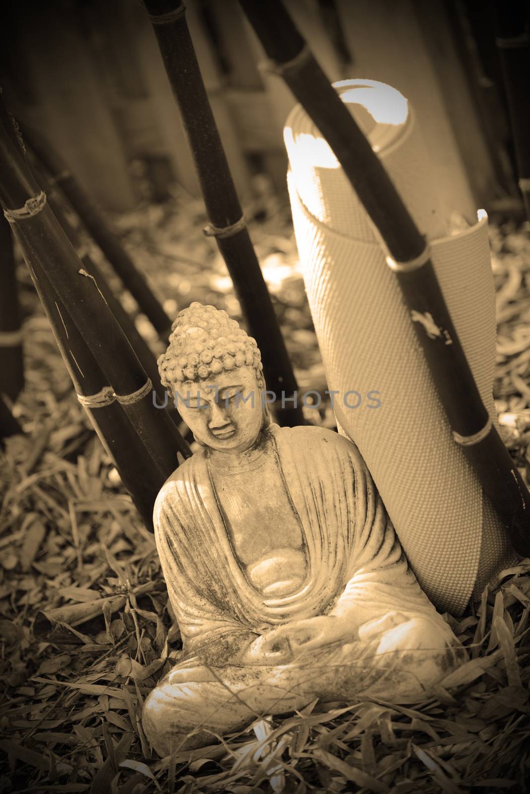 a buddha meditating with yoga mat in sepia
