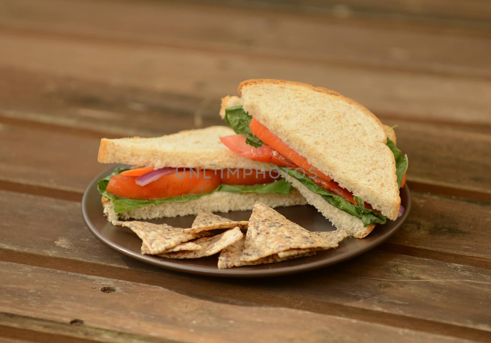 vegetable sandwich and tortilla chips