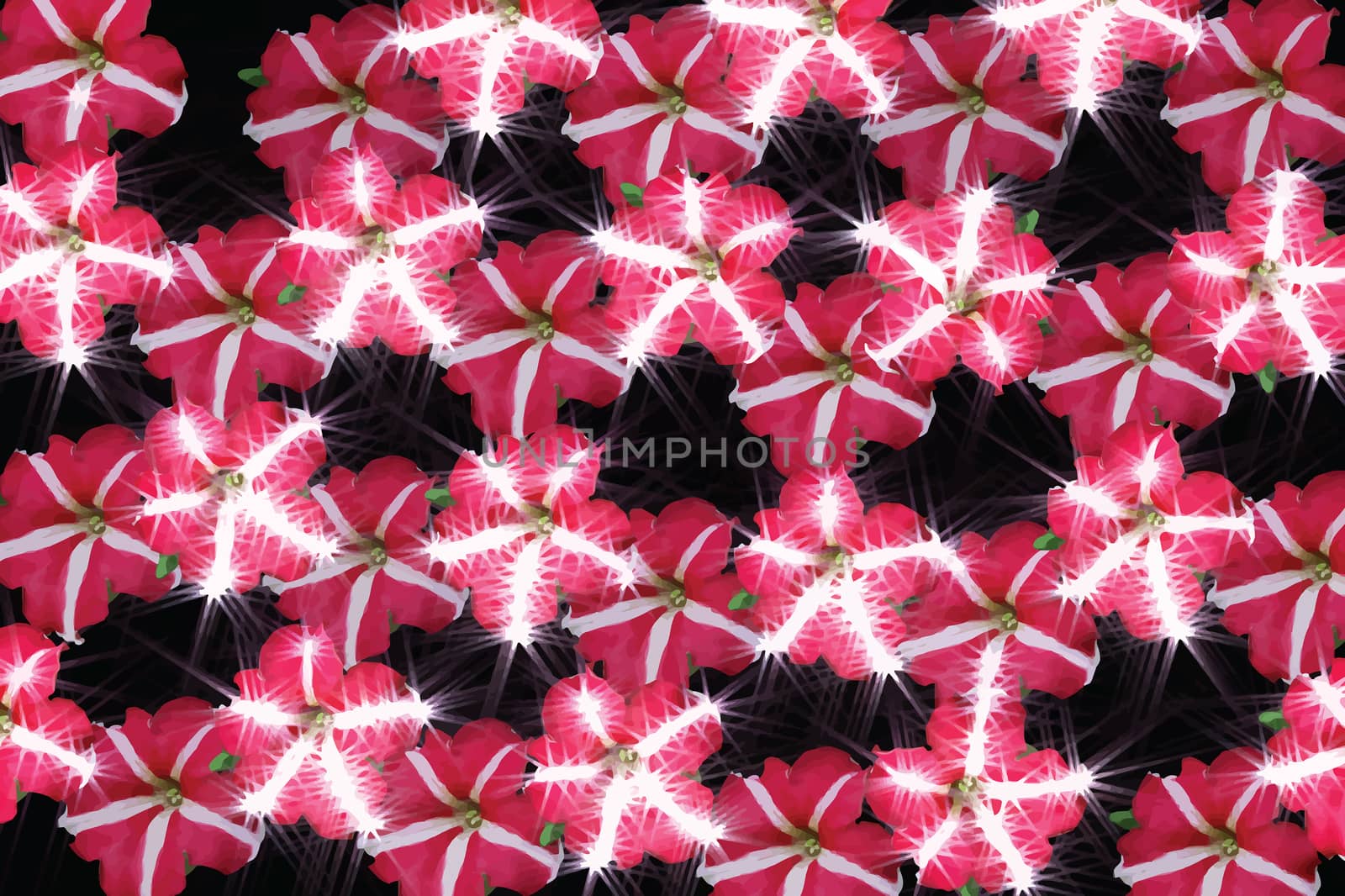 Floral background of the flowers of petunia pink with sparkling white stripes on the petals
