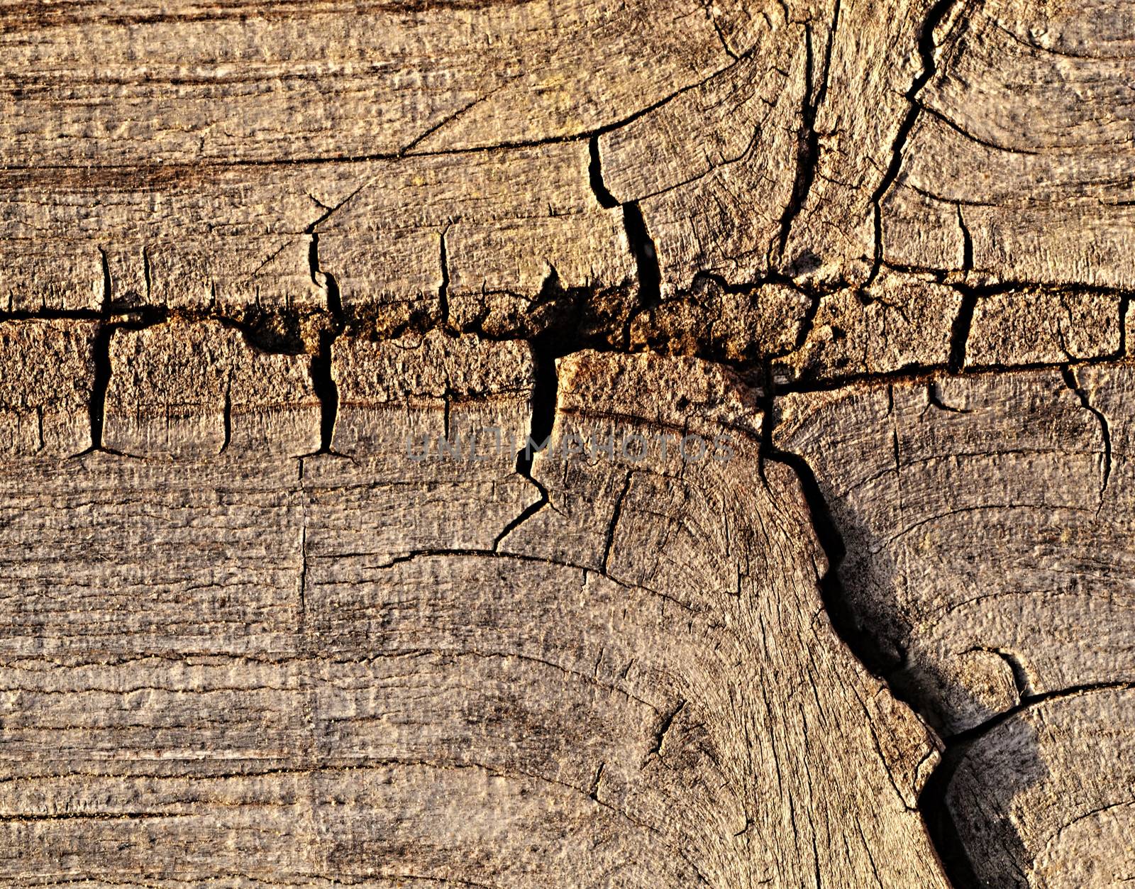 background or texture old wood with crack