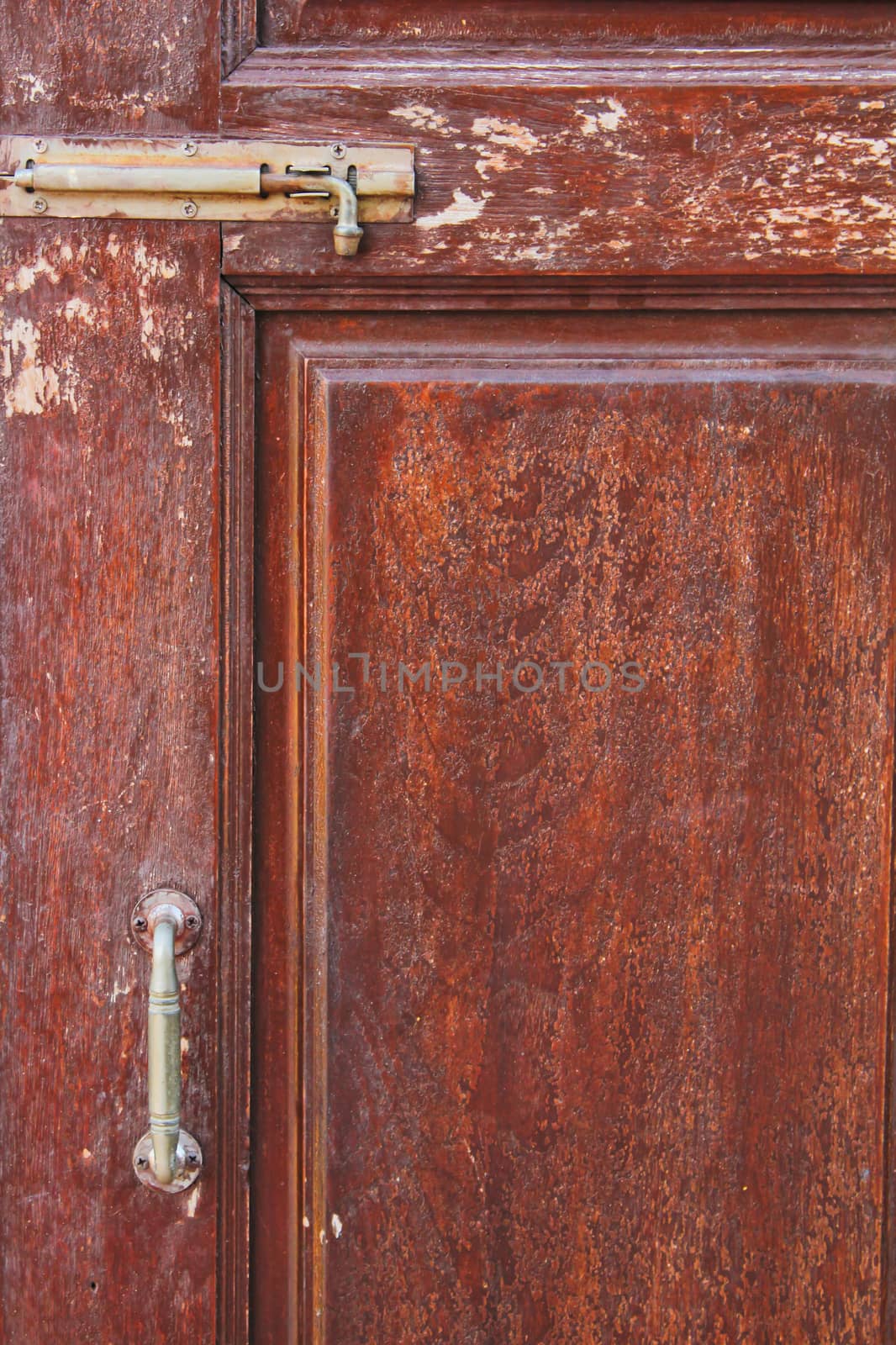old wooden door by coleorhiza