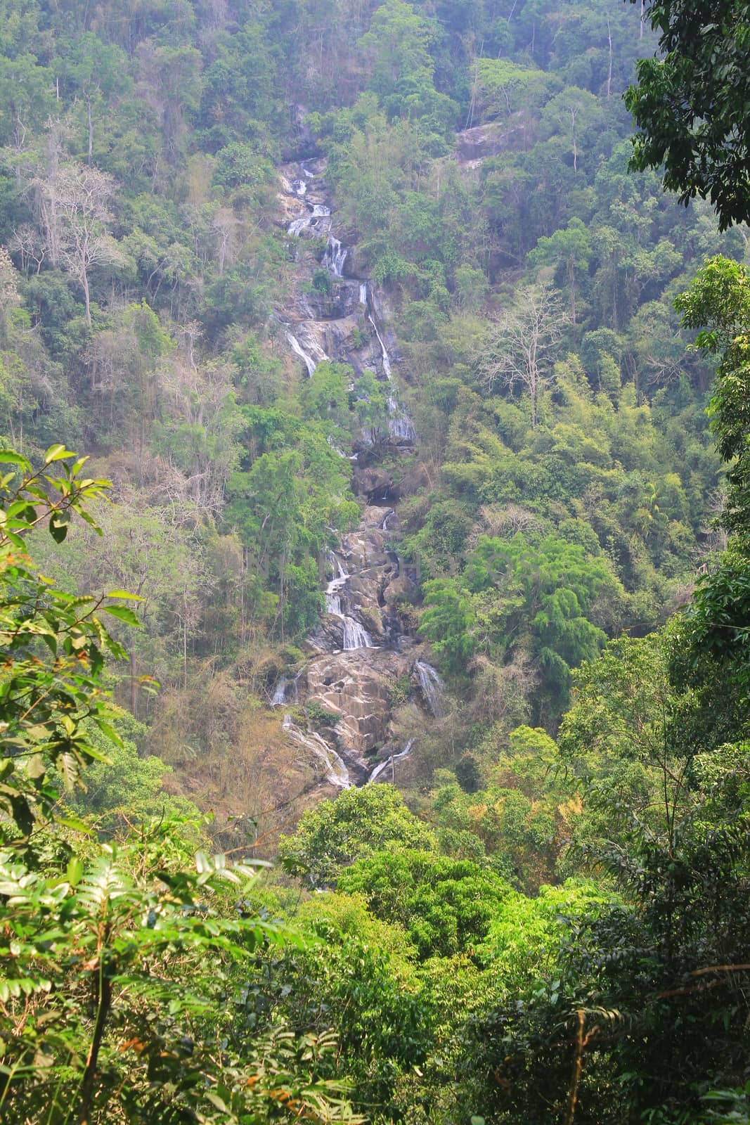 waterfall and rocks covered with moss in deep forest