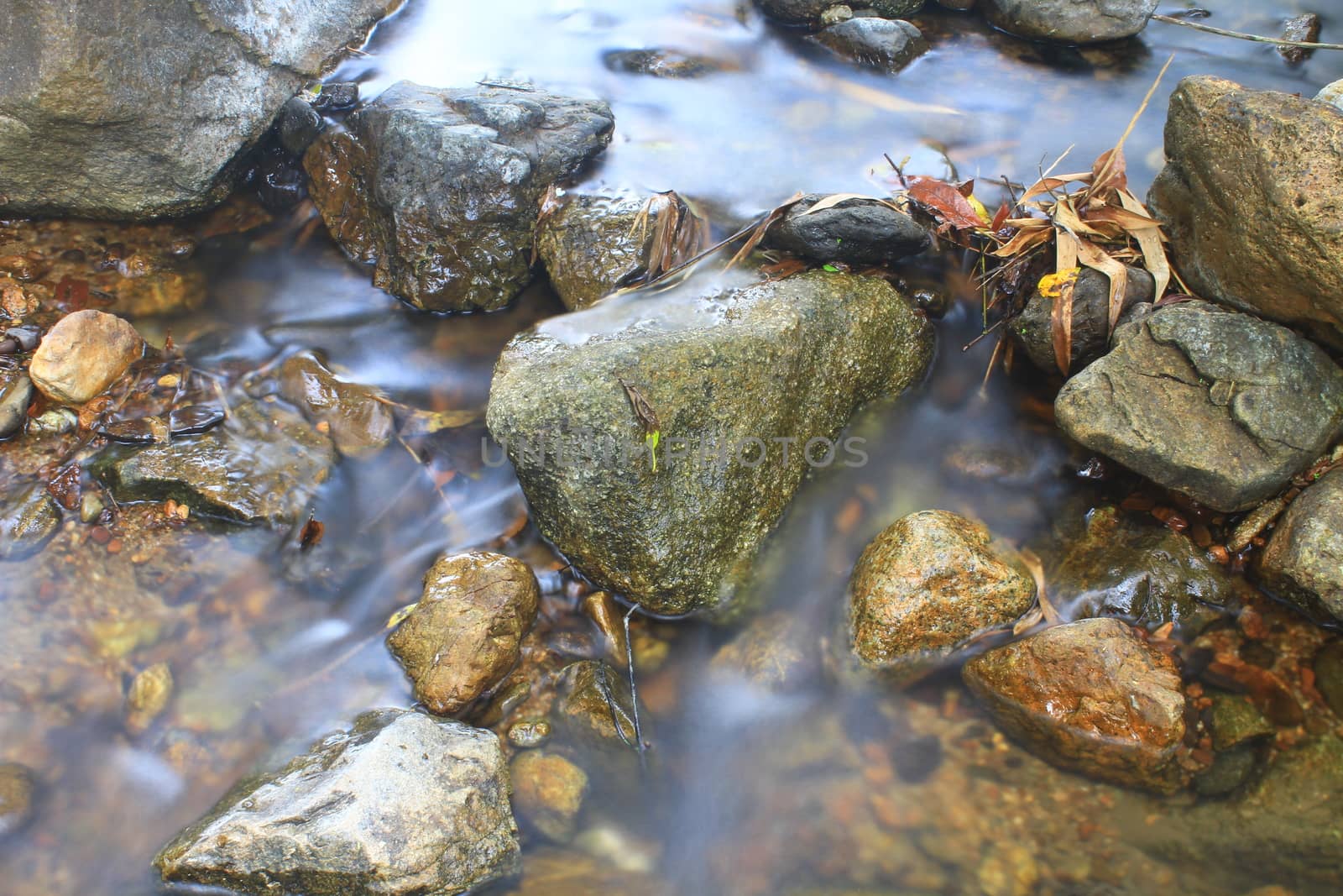 River in deep forest, river in evergreen forest in Thailand 