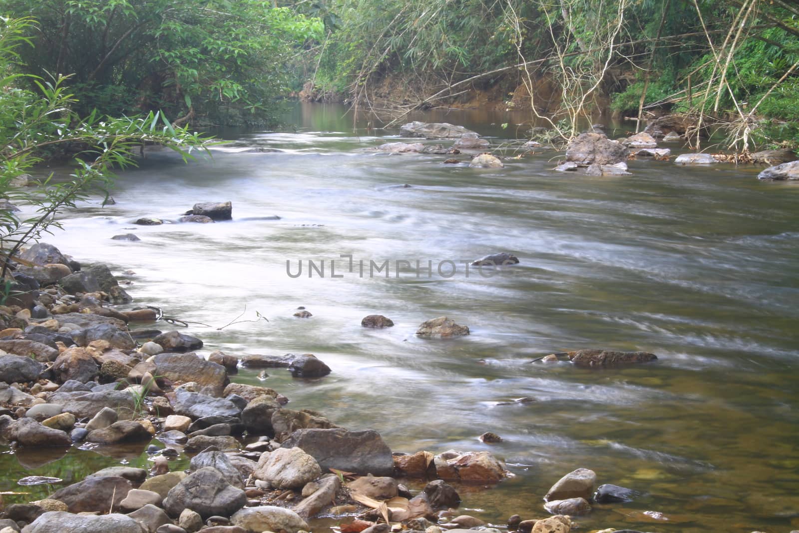 River in deep forest, river in evergreen forest in Thailand 
