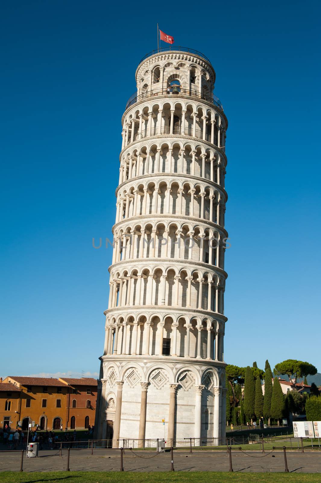 Pisa Leaning Tower  by fyletto