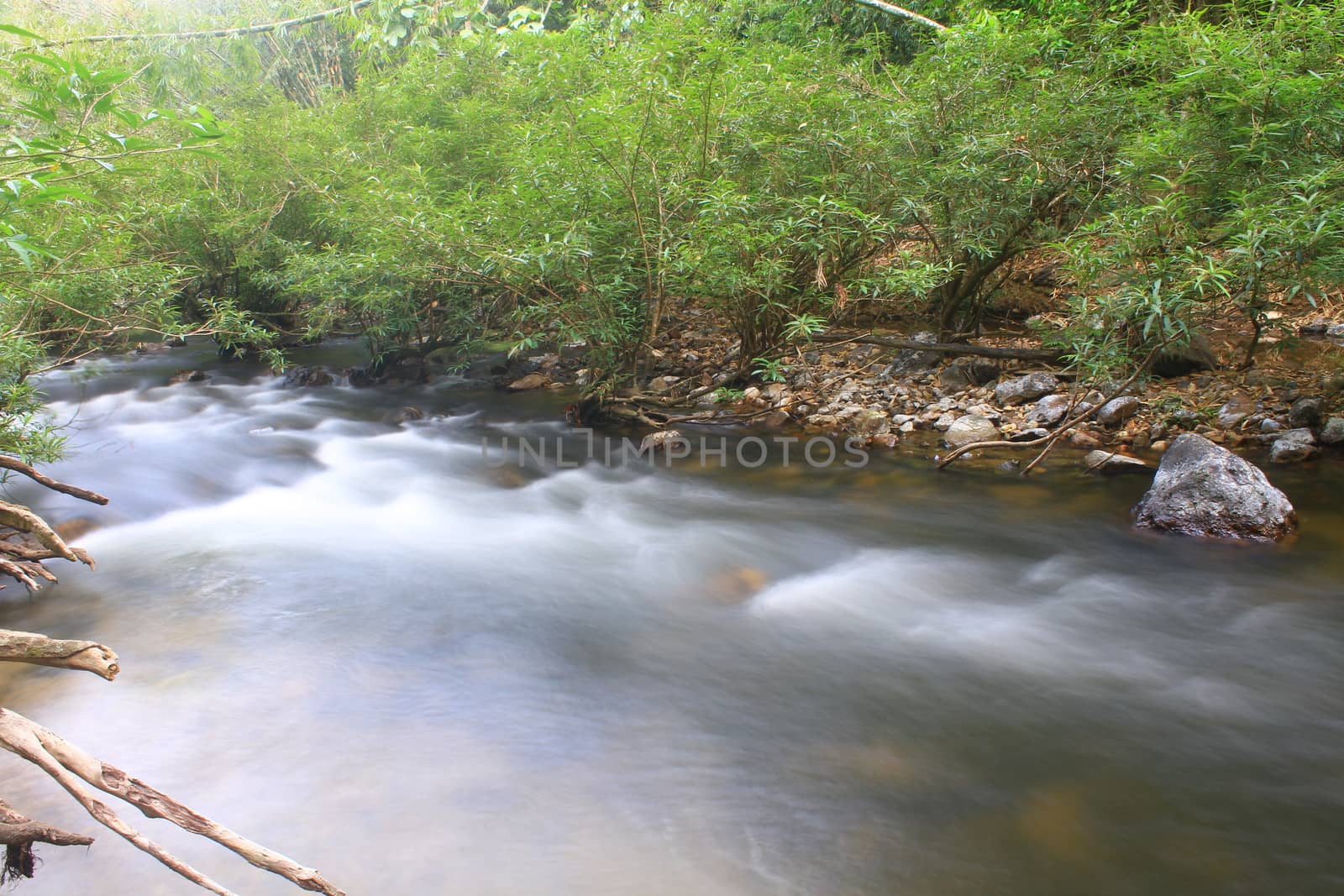 River in deep forest, river in evergreen forest in Thailand 