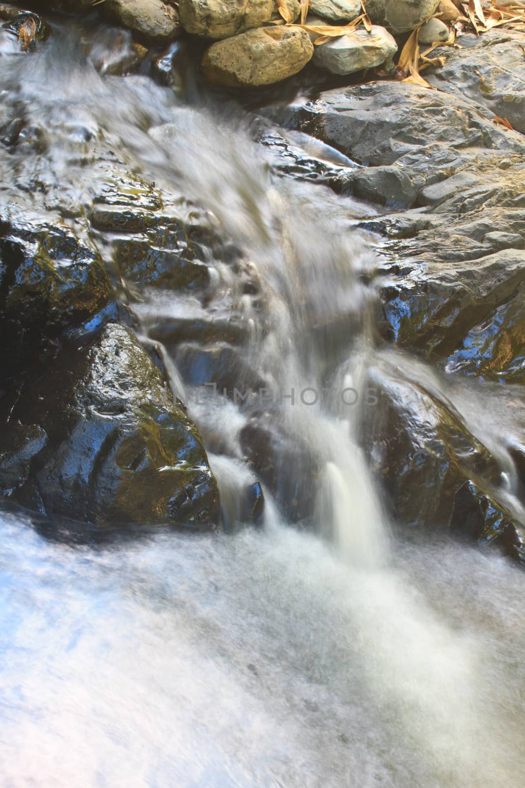 waterfall and rocks covered with moss in deep forest