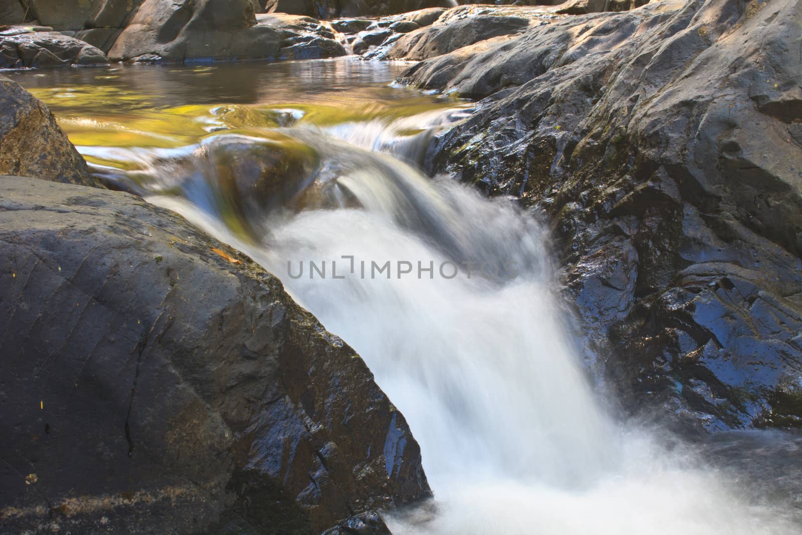 waterfall and rocks covered with moss in deep forest