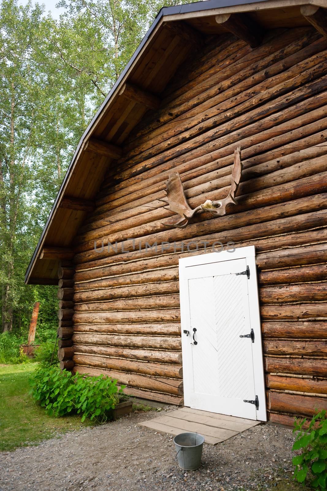 Rustic Log Out Building Moose Antler Rack Alaska Outback by ChrisBoswell