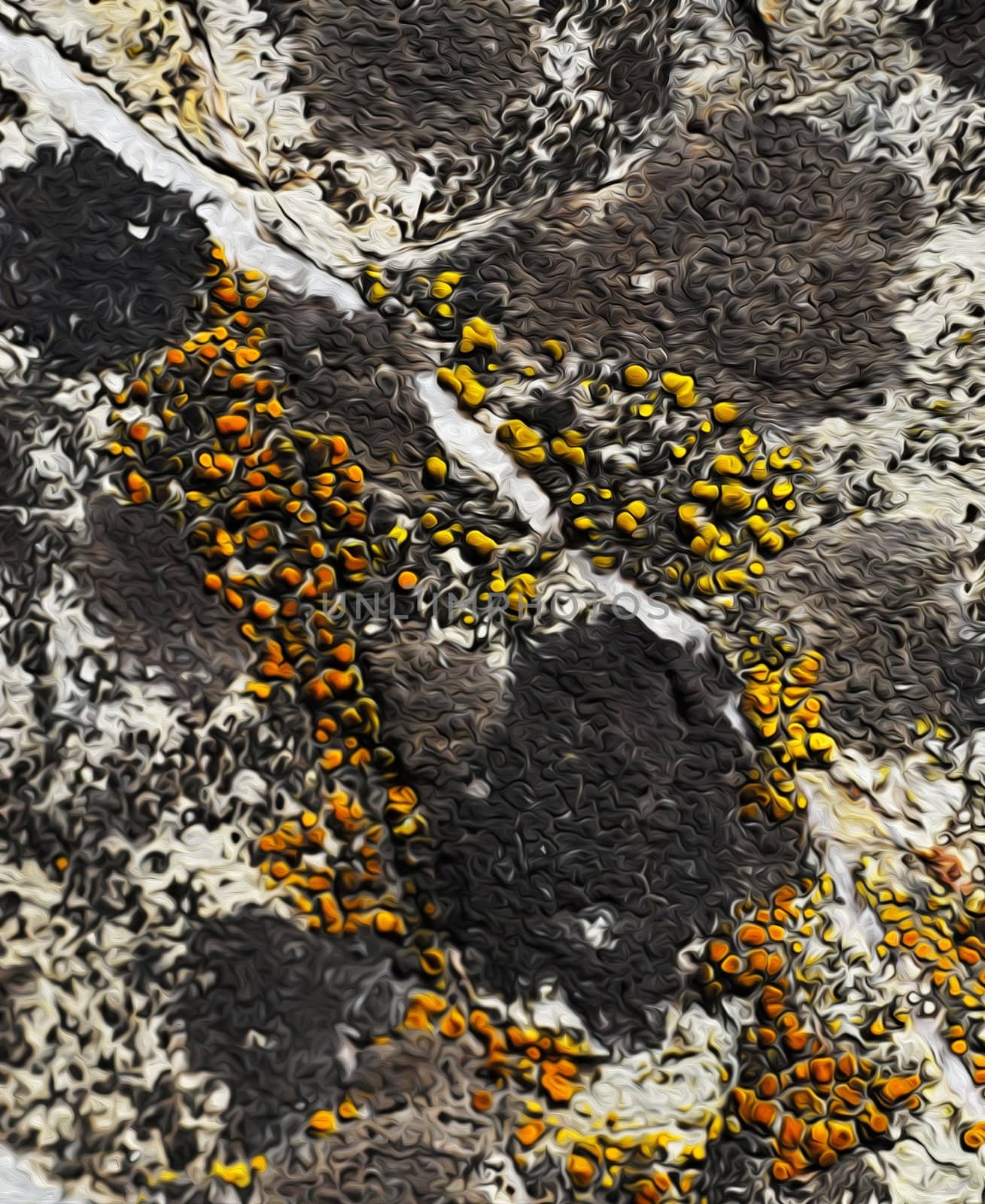 abstract oil paint moss on stone by Ahojdoma