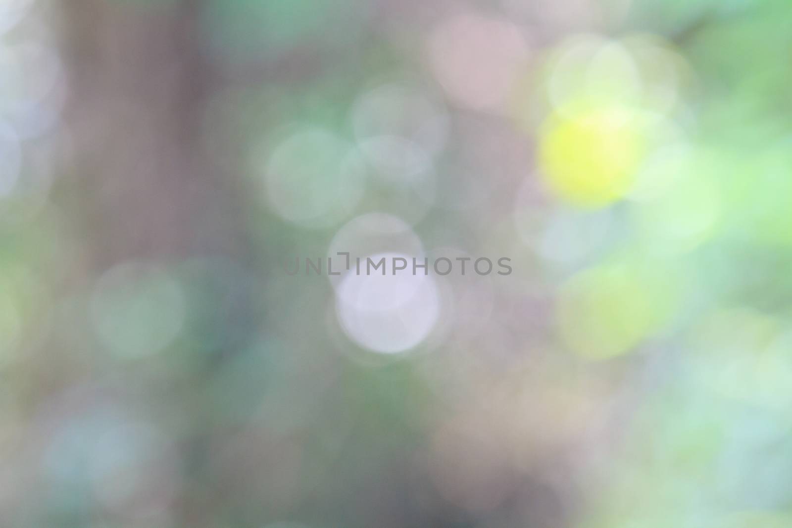 Festive blur background. Abstract twinkled bright background with bokeh defocused golden lights 